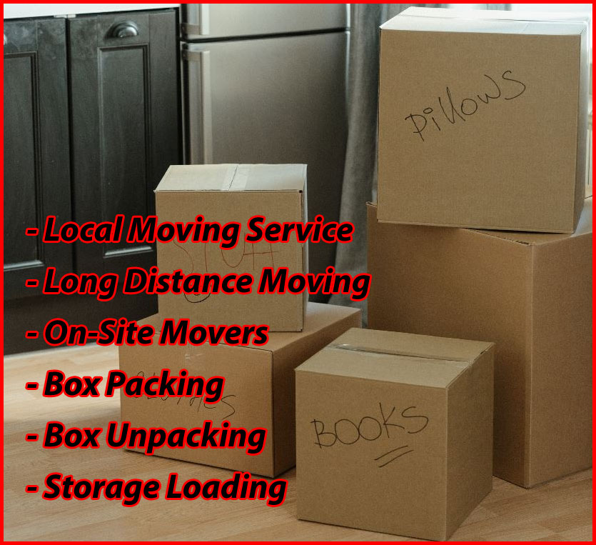 Packers And Movers Noida Sector 98